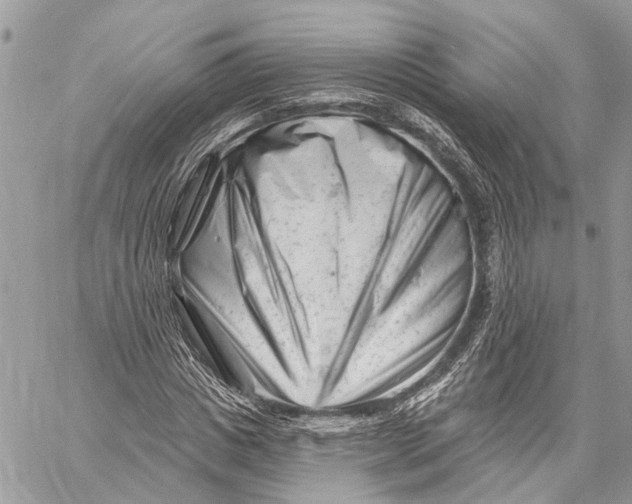 X0000058770825200510211720