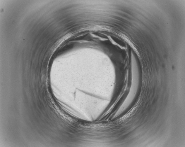 X0000058770845200510211721