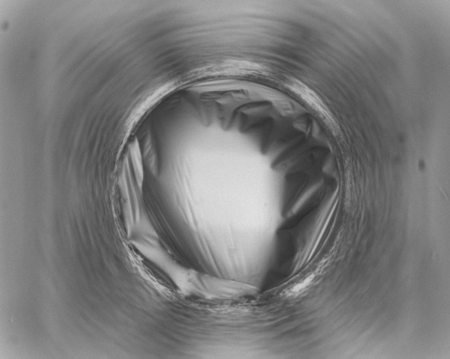 X0000058770850200510211721