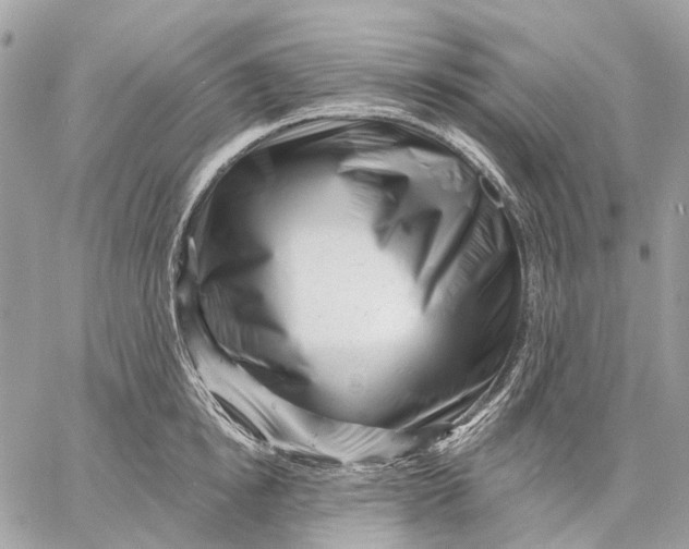 X0000058770854200510211721