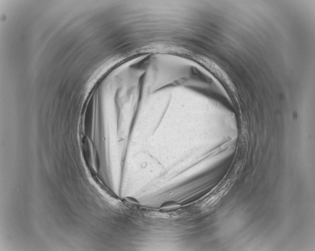 X0000058770855200510211721