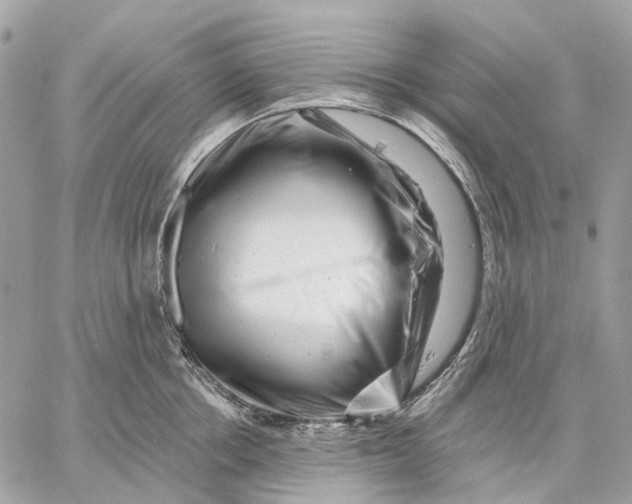 X0000058770858200510211721