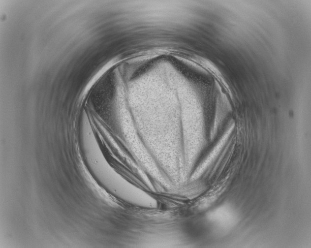 X0000058770859200510211721