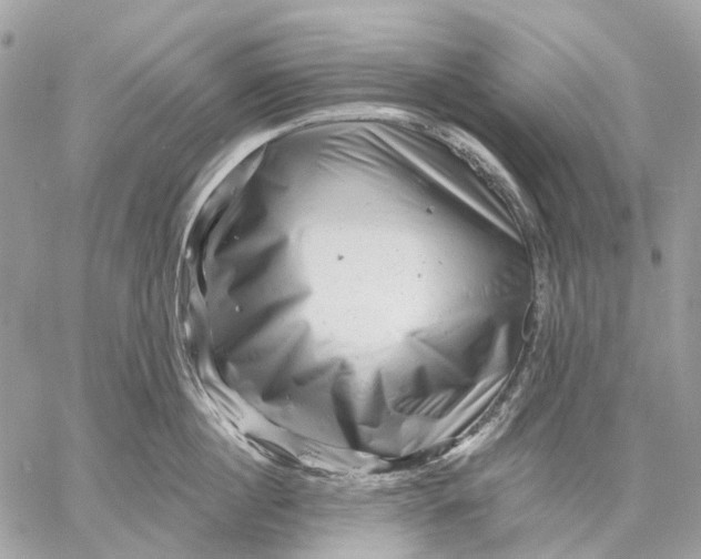 X0000058770860200510211721