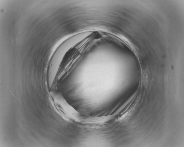X0000058770862200510211721