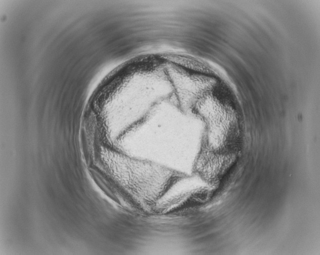 X0000058770863200510211721