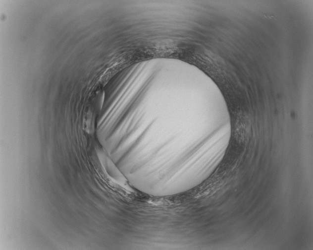 X0000058770866200510211720