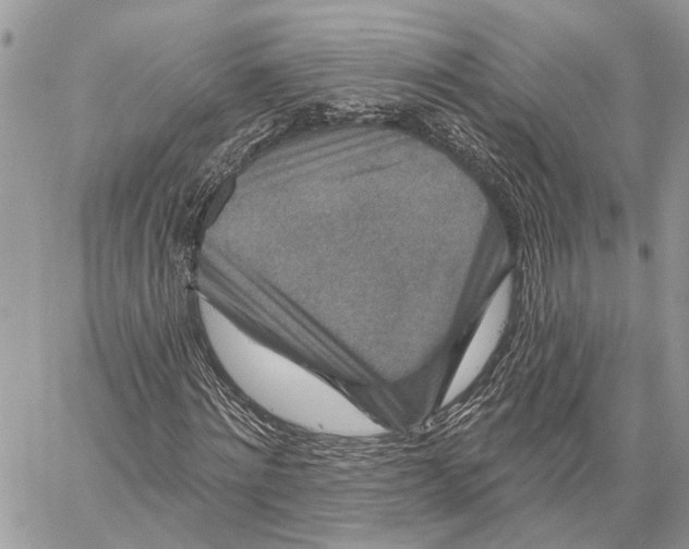 X0000058770868200510211720