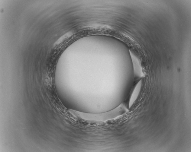 X0000058770869200510211720