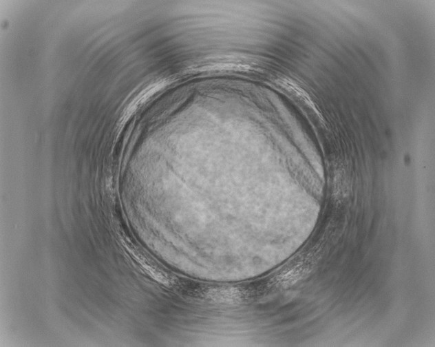 X0000058770882200510211720