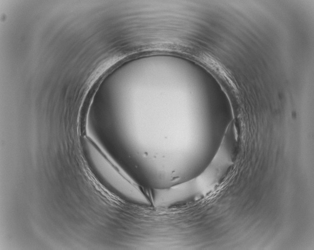 X0000058770884200510211720