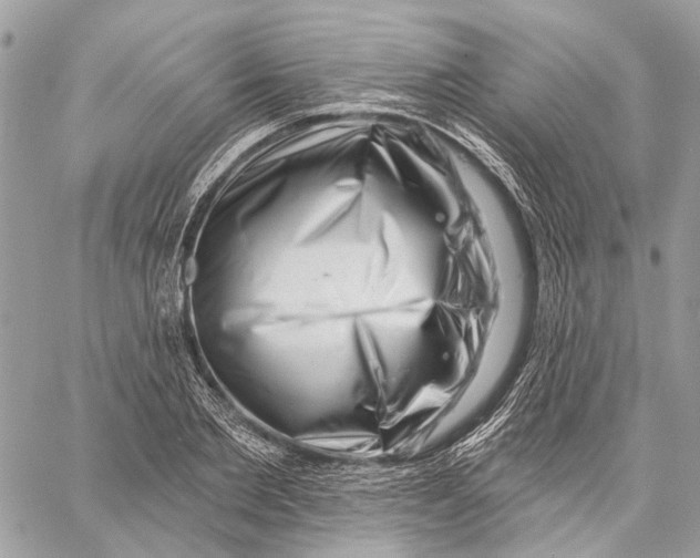 X0000058770885200510211720