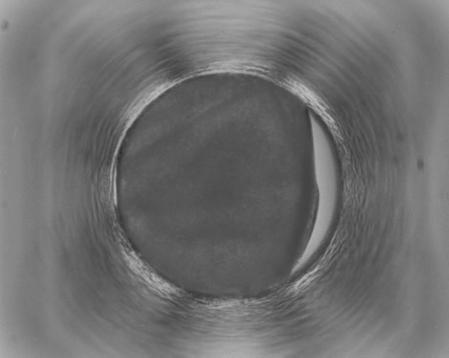 X0000058770892200510211720