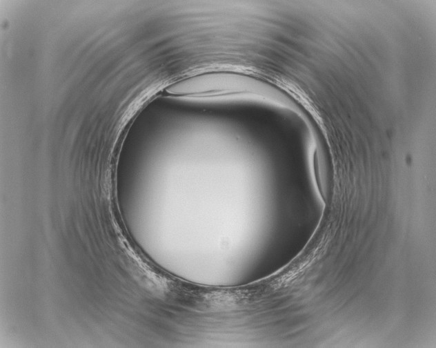 X0000058770898200510211720