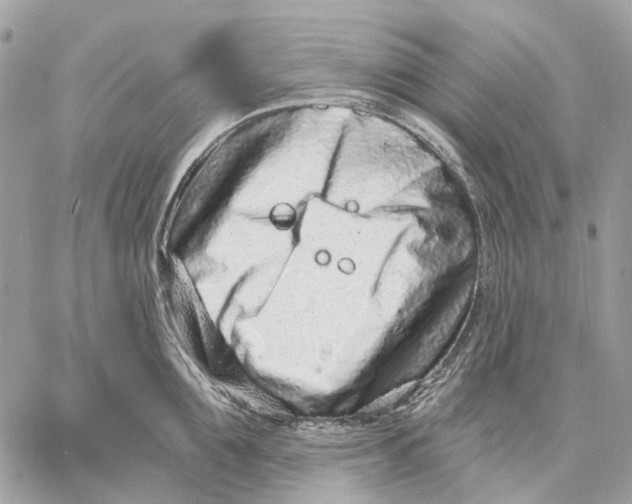X0000058770907200510211720