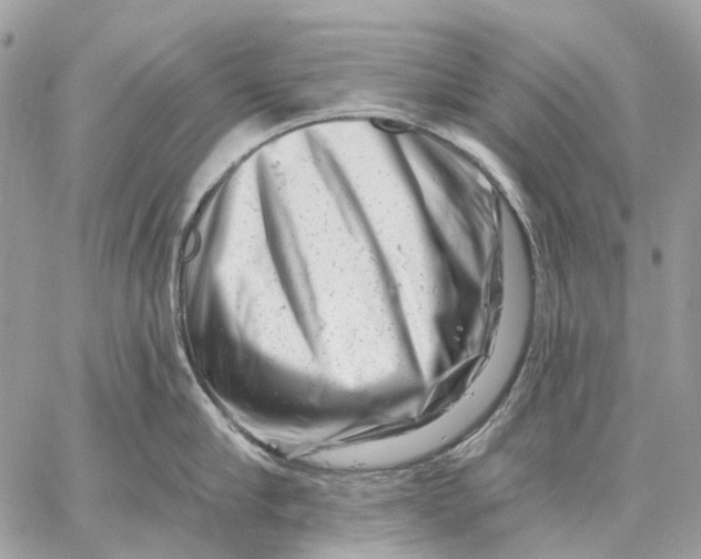 X0000058770910200510211720