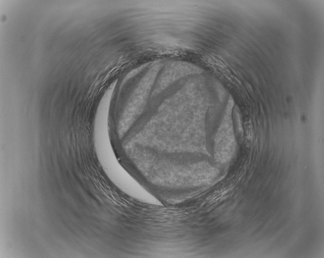 X0000058770916200510211719
