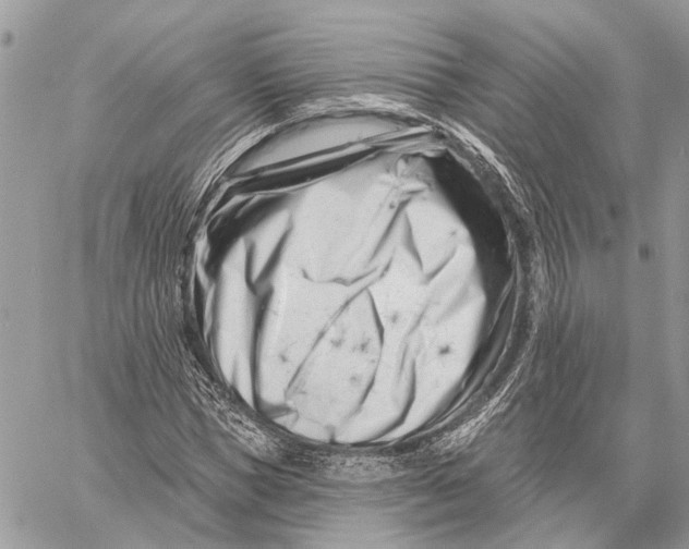 X0000058770921200510211719