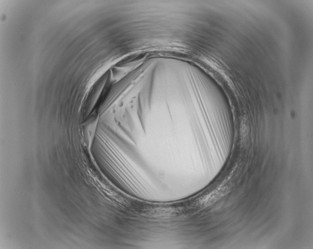 X0000058770925200510211719