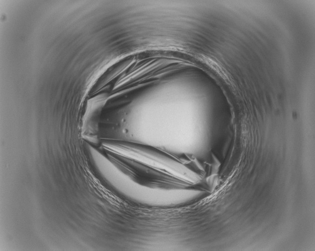 X0000058770926200510211719