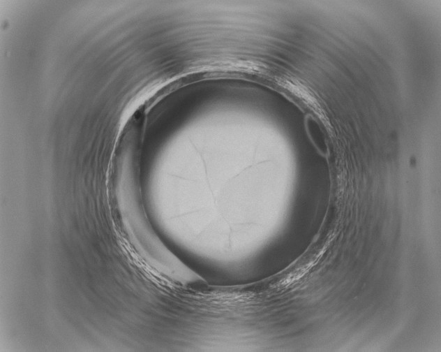 X0000058770928200510211719