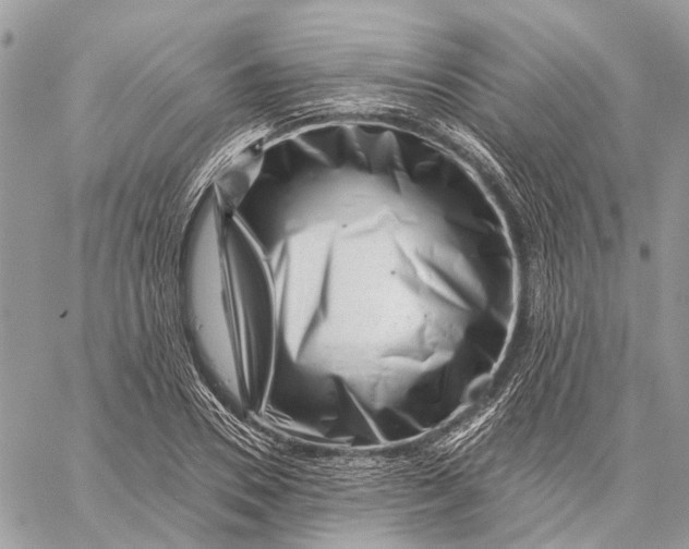 X0000058770930200510211719