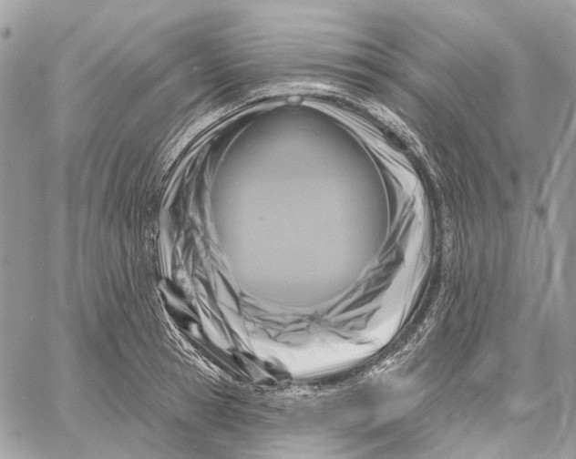 X0000058770945200510211719