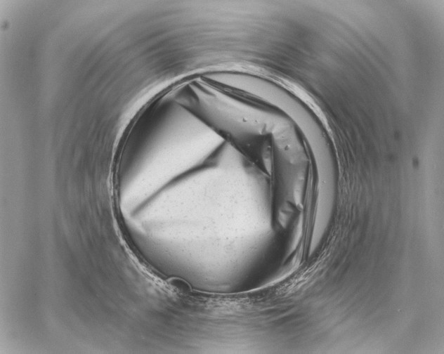 X0000058770951200510211719