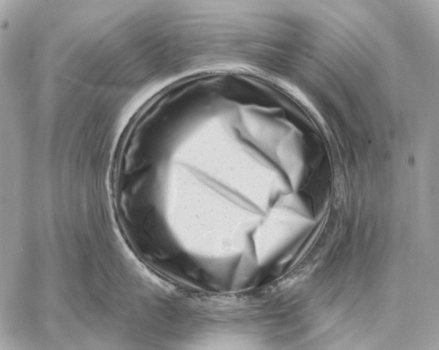 X0000058770959200510211719