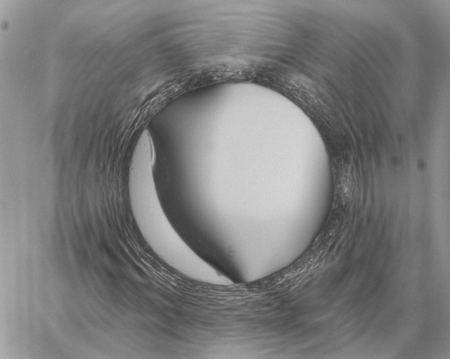 X0000058770964200510211719