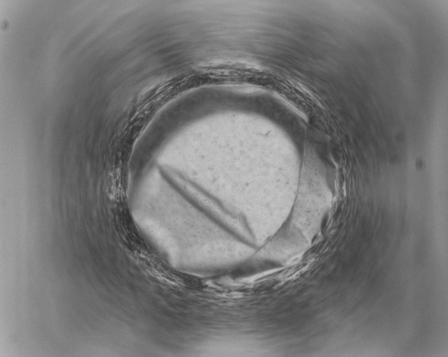 X0000058770965200510211719
