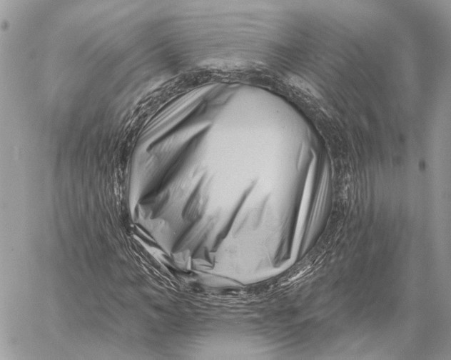 X0000058770966200510211719