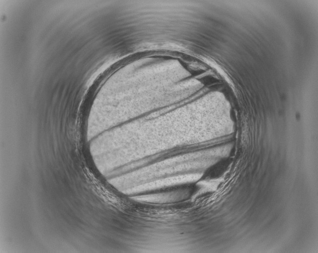 X0000058770975200510211718