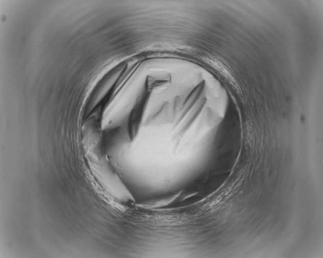 X0000058770976200510211718
