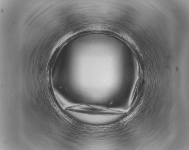 X0000058770981200510211718