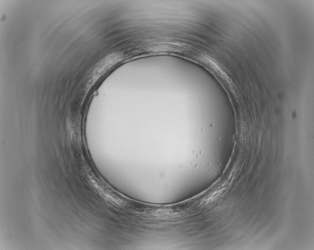 X0000058770986200510211718