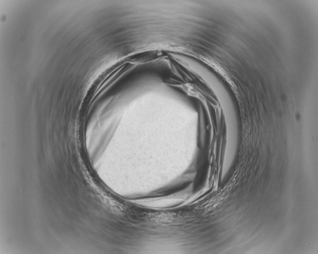 X0000058770991200510211718