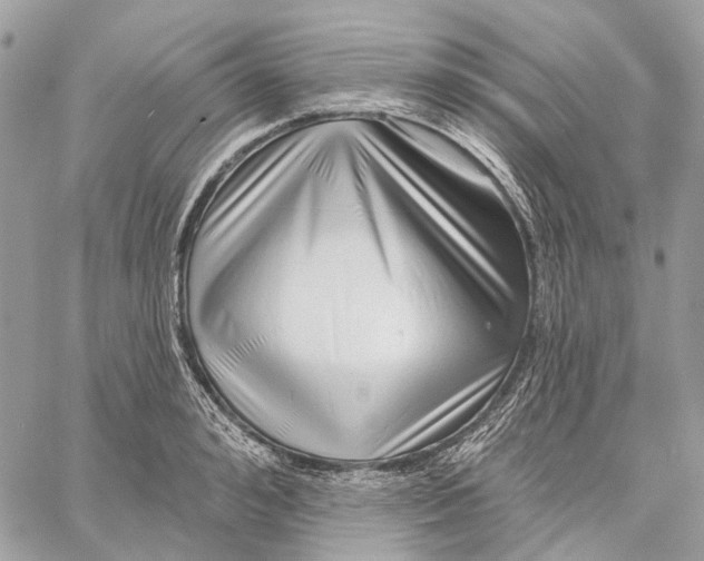 X0000058770992200510211718