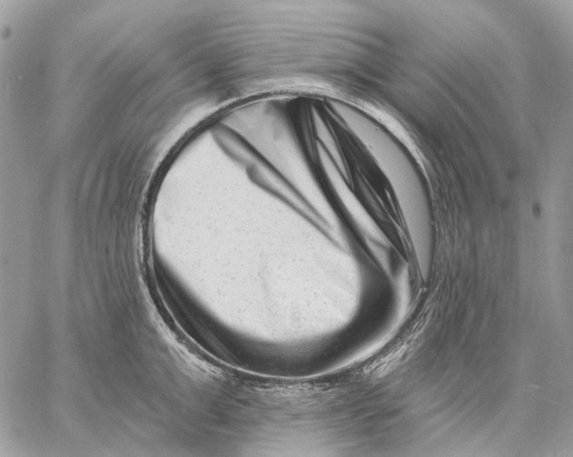 X0000058770999200510211718