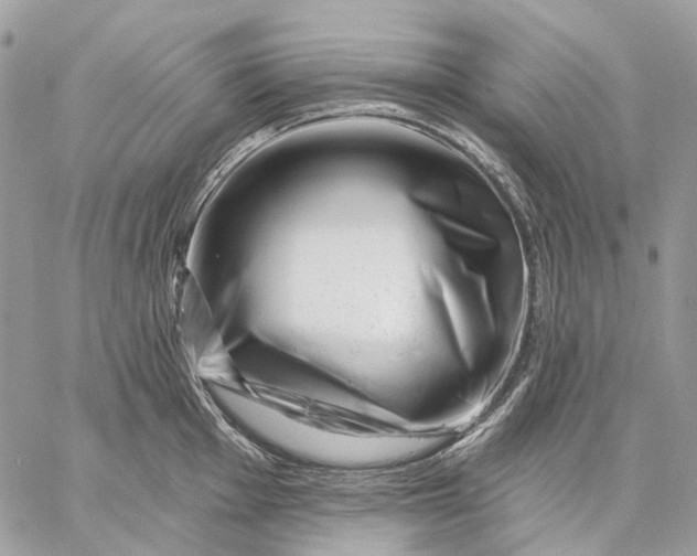 X0000058771001200510211718