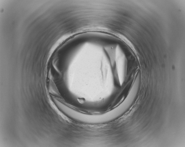 X0000058771005200510211718