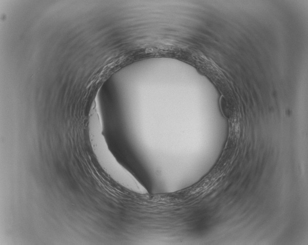 X0000058771012200510211717