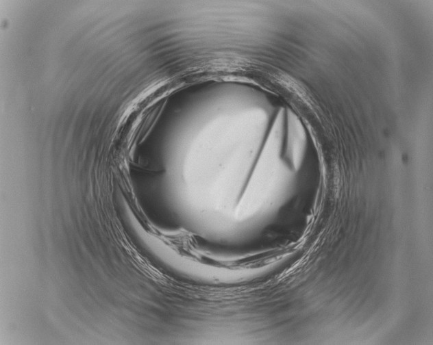 X0000058771018200510211717