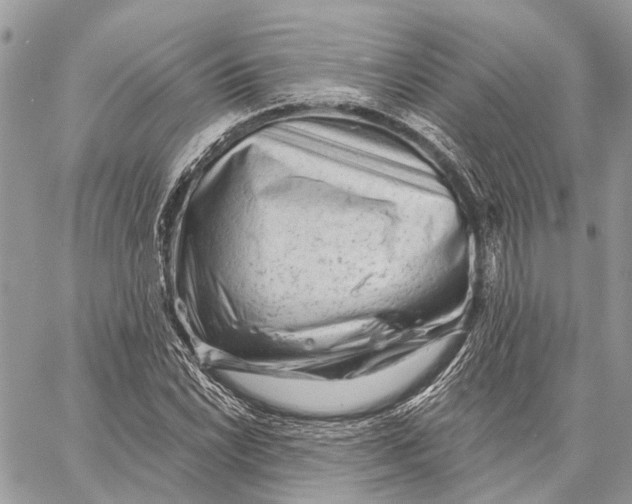 X0000058771022200510211717
