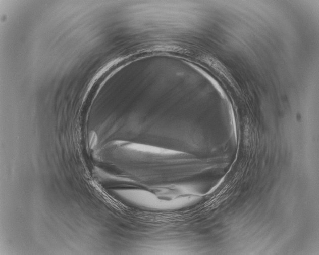 X0000058771024200510211717