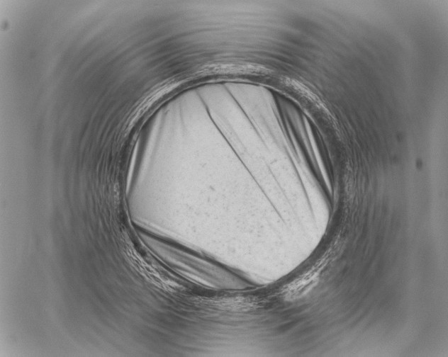 X0000058771025200510211717
