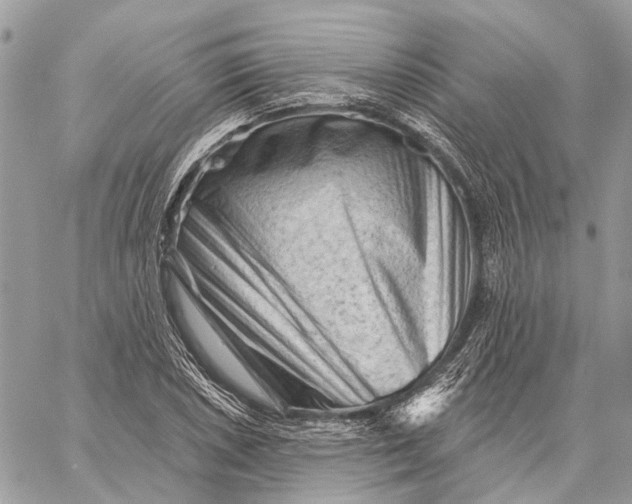 X0000058771026200510211717