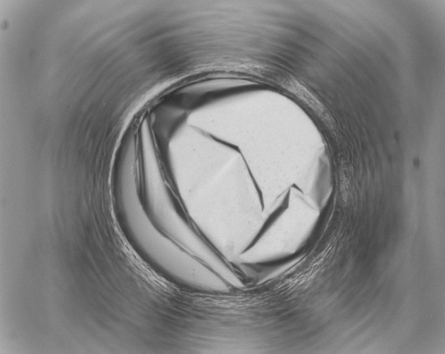 X0000058771028200510211717