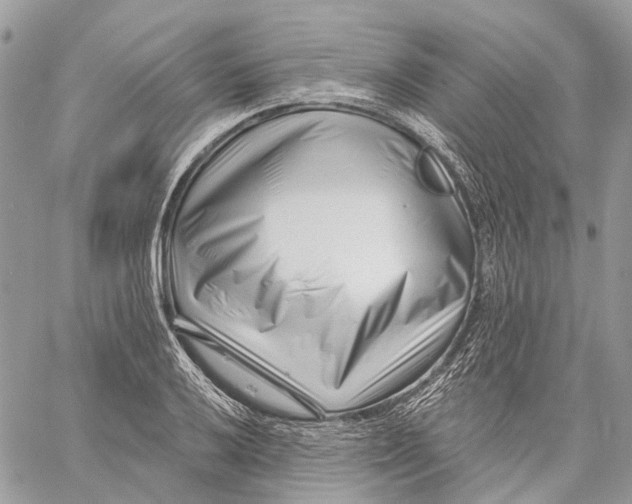 X0000058771032200510211718