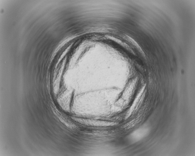 X0000058771035200510211718